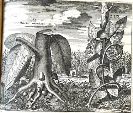 La Chine, illustrée de plusieurs monuments tant sacrés que profanes, et de quantité de recherchés de la nature et de l'art. Quoy on à adjousté de ...