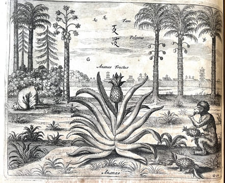 La Chine, illustrée de plusieurs monuments tant sacrés que profanes, et de quantité de recherchés de la nature et de l'art. Quoy on à adjousté de ...