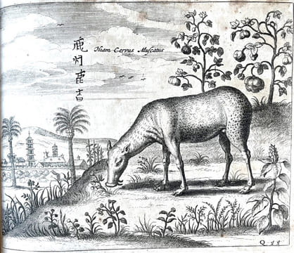 La Chine, illustrée de plusieurs monuments tant sacrés que profanes, et de quantité de recherchés de la nature et de l'art. Quoy on à adjousté de ...