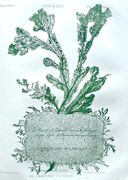 Image de livre