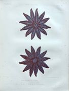 Image de livre