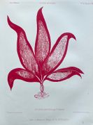 Image de livre