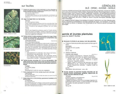 Guide pratique de défense des cultures. Reconnaissance des ennemis, notions de protection des cultures.