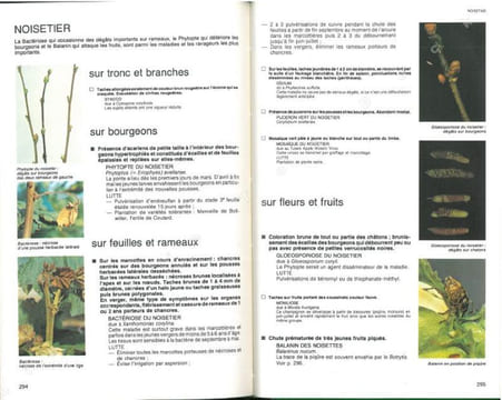 Guide pratique de défense des cultures. Reconnaissance des ennemis, notions de protection des cultures.. Bailly, R. et al.