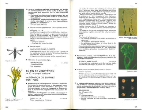 Guide pratique de défense des cultures. Reconnaissance des ennemis, notions de protection des cultures.. Collectif