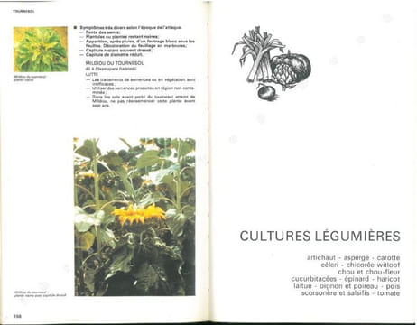 Guide pratique de défense des cultures. Reconnaissance des ennemis, notions de protection des cultures.. Collectif