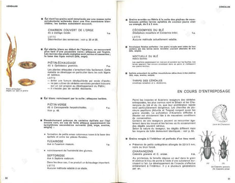 Guide pratique de défense des cultures. Reconnaissance des ennemis, notions de protection des cultures.. Collectif