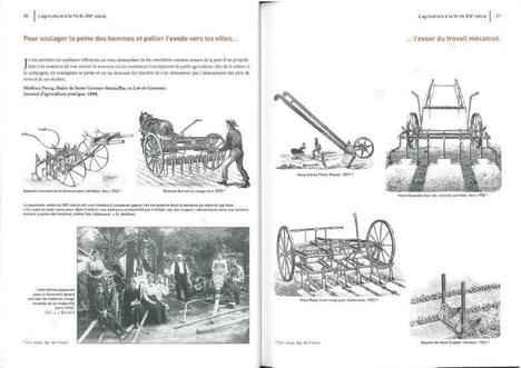 Histoire de la protection des cultures de 1850 à nos jours.. Bain, C. et al.