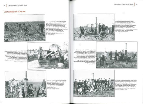 Histoire de la protection des cultures de 1850 à nos jours.. Bain, C. et al.