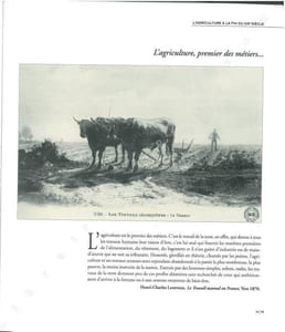 Protection des cultures et travail des hommes.