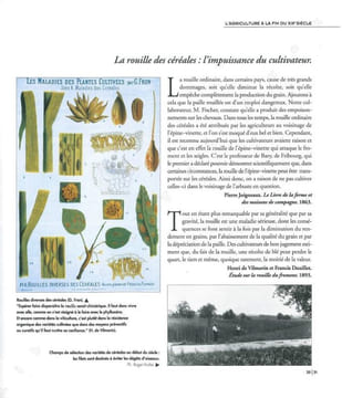 Protection des cultures et travail des hommes.. Bain, C. et al.