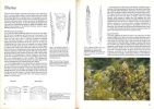Illustrated guide to wild flowers.. Blackmore, Stephen