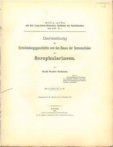 Darstellung der Entwicklungsgeschichte und des Baues der Samenschalen der Scrophularineen.