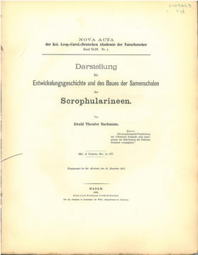 Darstellung der Entwicklungsgeschichte und des Baues der Samenschalen der Scrophularineen.. Bachmann, Ewald Theodor