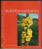 Plantes sauvages.. Kleijn, H. & P. Vermeulen