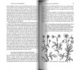 An introduction to plant taxonomy.. Jeffrey, C.