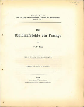 Die Conidienfrüchte von Fumago.. Zopf, Wilhelm