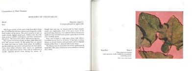 Compendium of plant diseases.