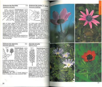 Guide de la flore méditerranéenne. Caractéristiques, habitat, distribution et particularités de 536 espèces.
