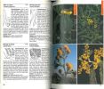 Guide de la flore méditerranéenne. Caractéristiques, habitat, distribution et particularités de 536 espèces.. Bayer, E. et al.