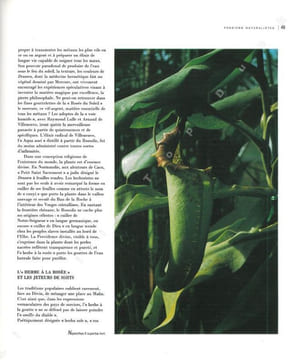 Les plantes carnivores. Des pièges au détour de l'image.. Baffray, M. et al.