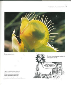 Les plantes carnivores. Des pièges au détour de l'image.