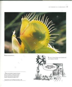 Les plantes carnivores. Des pièges au détour de l'image.. Baffray, M. et al.