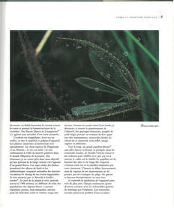 Les plantes carnivores. Des pièges au détour de l'image.