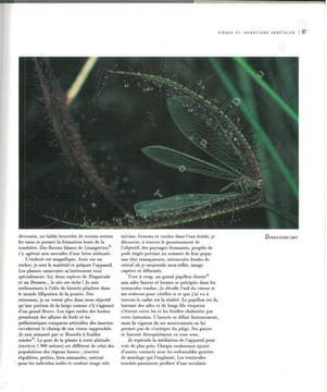 Les plantes carnivores. Des pièges au détour de l'image.. Baffray, M. et al.