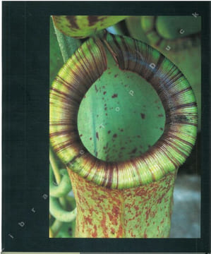 Les plantes carnivores. Des pièges au détour de l'image.. Baffray, M. et al.