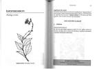 Plantas del Chaco II. Usos tradicionales Izoceno-Guarani.. Vaera, J.Y. & Y.Y. Vaera