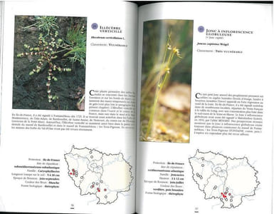 Les plantes protégées d'Ile-de-France.