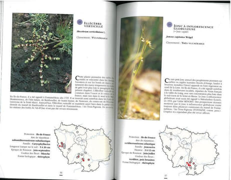 Les plantes protégées d'Ile-de-France.. Arnal, Gérard