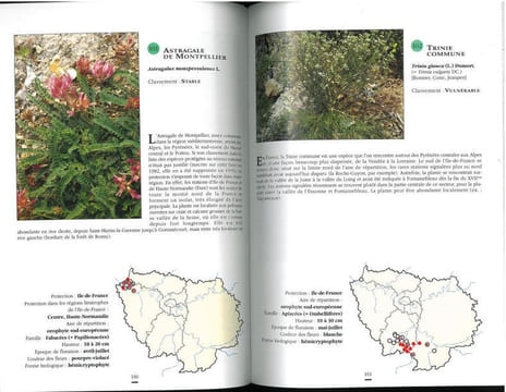 Les plantes protégées d'Ile-de-France.. Arnal, Gérard