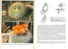 Guide des cactus.. Haage, Walter