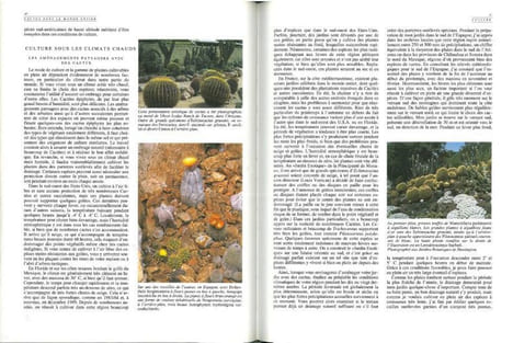 Guide des cactus du monde.. Lamb, Brian M.