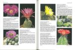 Guide des cactus du monde.. Lamb, Brian M.