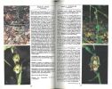Guide des orchidées d'Europe, d'Afrique du Nord et du Proche-Orient.. Delforge, Pierre