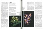 Comment choisir et entretenir vos orchidées.. Leroy-Terquem, G. & J. Parisot
