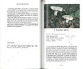 Petit guide des champignons.. Romagnesi, Henri