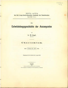 Zur Entwickelungsgeschichte der Ascomyceten. Chaetonium.. Zopf, Wilhelm