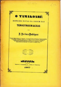 O Tamakoaré. Especies novas da ordem das Ternstroemiaceas.