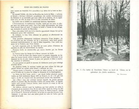 Guide des forêts de France.. Plaisance, Georges