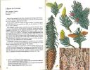 Guide des arbres et arbustes exotiques de nos jardins et parcs.. Chatenet, GaÃ«tan du & P. Bauer-Bovet