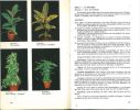 Guide des plantes d'appartement.. Seibold, Hans