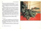 Plantes d'appartement. Vie et acclimatation des plantes tropicales.. Duperrex, A. & D. Buscarlet