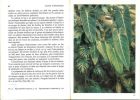 Plantes d'appartement. Vie et acclimatation des plantes tropicales.. Duperrex, A. & D. Buscarlet