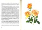 Roses. Vol. I.. Bois, E. & A.-M. Trechslin