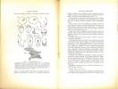 Voyage de Ch. Alluaud et R. Jeannel en Afrique orientale (1911-1912). Résultats scientifiques. Crustacés I-III.. Daday de Dees, E. et al.
