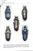 Nuovi taxa di Carabus L. della cina : Provincie di Qinghai, Gansu, Sichuan e Shaanxi (Coleoptera Carabidae).. Cavazzuti, P. & I. Rapuzzi